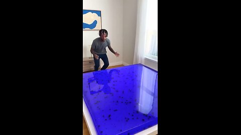 Miggy jumping on Blueberry Jelly Bed