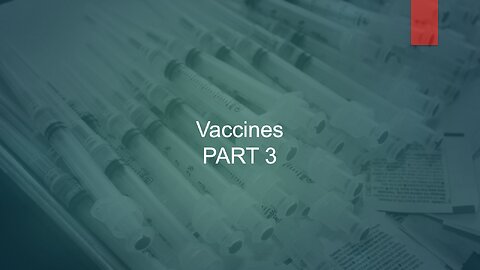 Vaccines Part 3 by Dr. Jay Bernstein