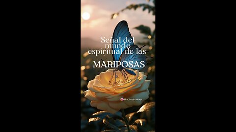 “¿Qué significan las mariposas espiritualmente? "Señales del universo y transformación”
