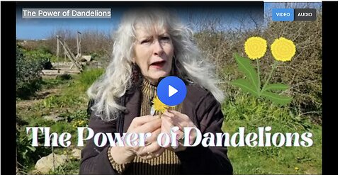 The Power of Dandelions