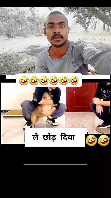 "Positively Hilarious: Dog Antics You Won't Believe!"?