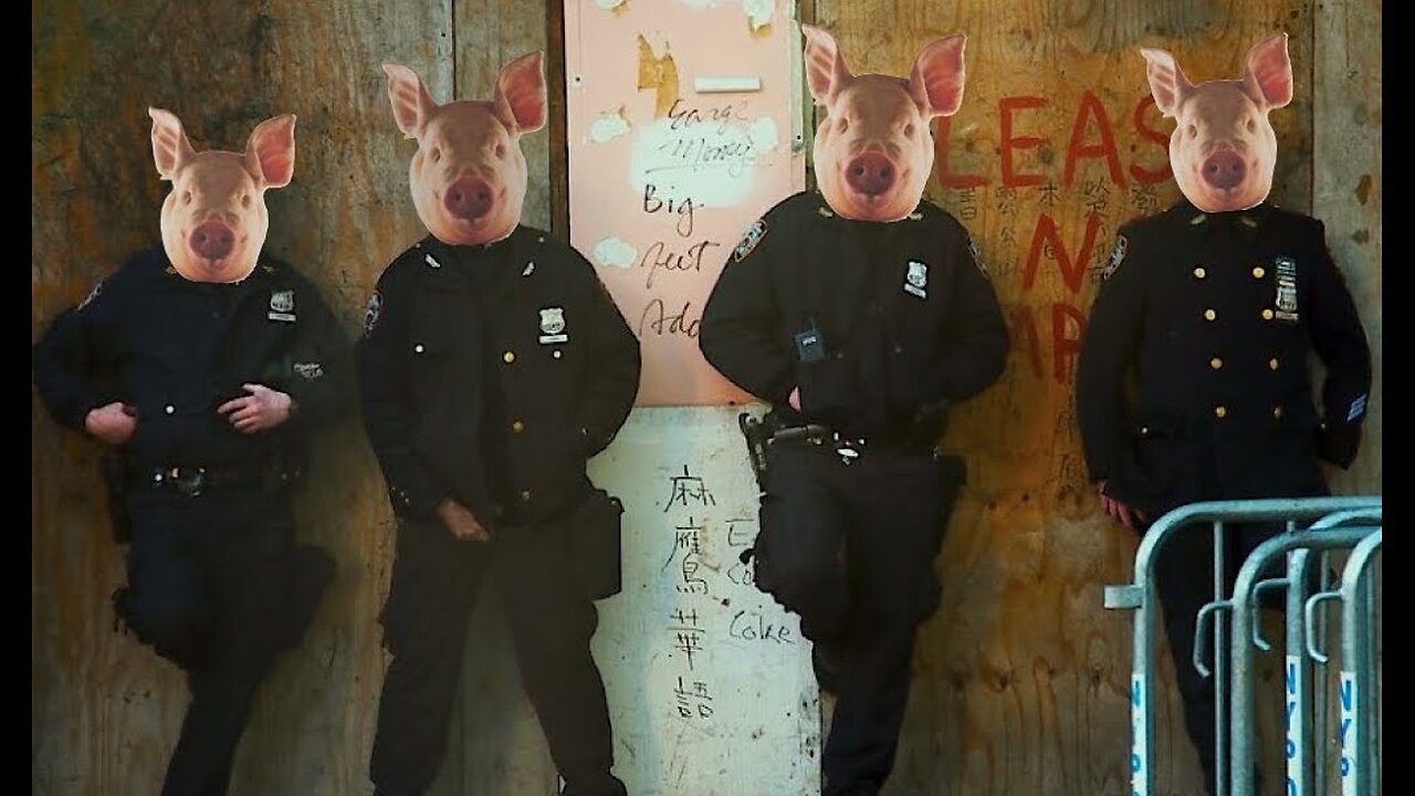 Among The Dumbest And Most Violent CRIMINALS Today - PIGS
