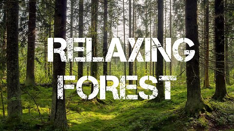 Relaxing Jungle | Deep Sleep & Stress Relief Music | Nature Sounds for Meditation #RelaxingMusic