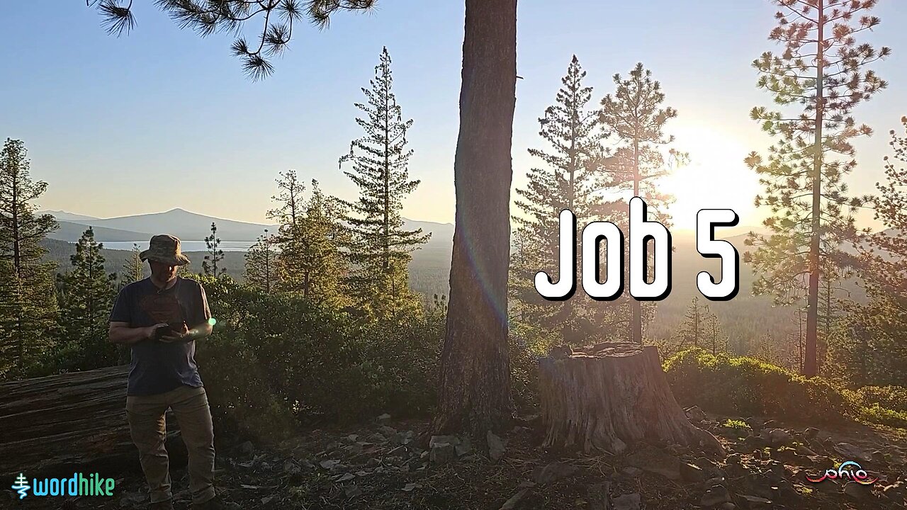Job 5