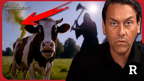 Die Kühe fallen tot um! Nach dem „Anti Methan“ Futtermittel Mandat