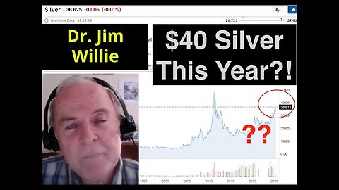 Jim Willie: I m Expecting Silver To Break $40 Before The End Of The Year