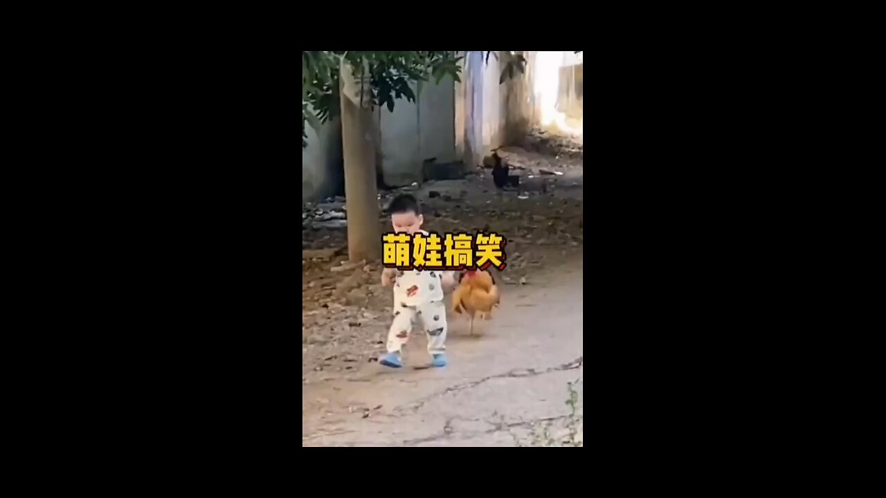 funny video