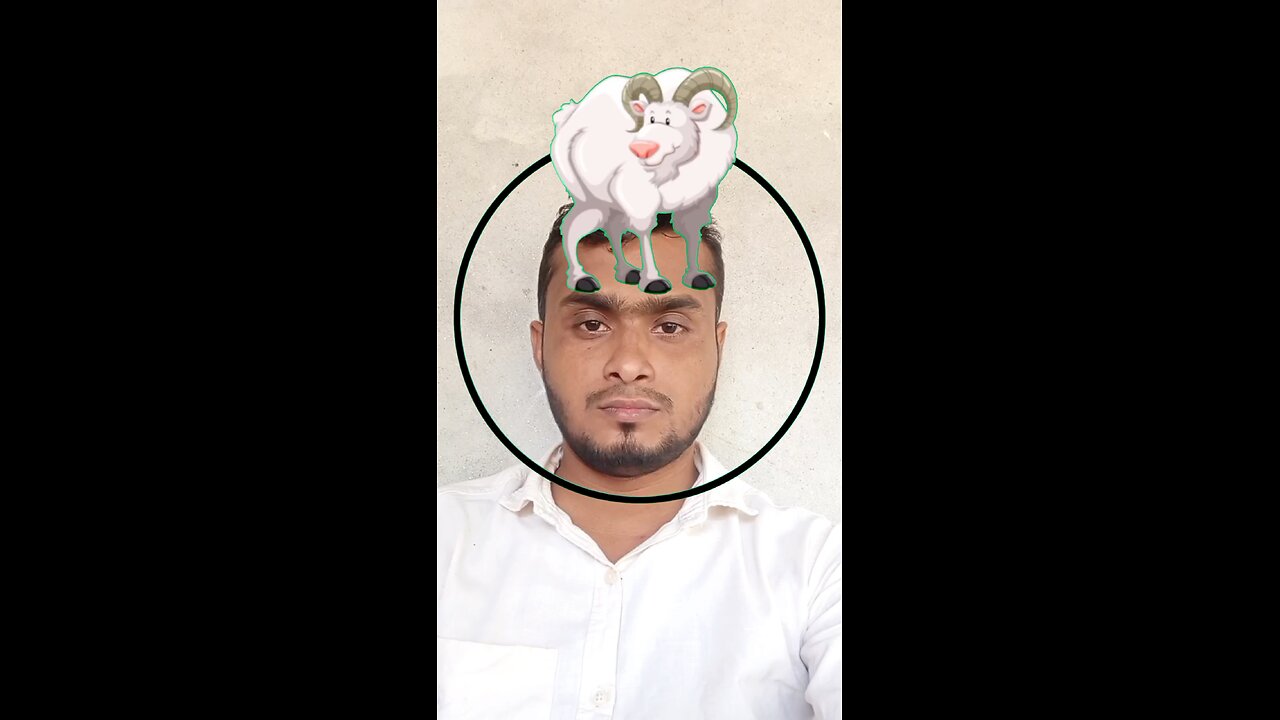 এই সাদা প্রাণীটি সঠিক জায়গায় বসান #reels #puzzle #reelsviral #foryoufnf #foryouシ #tending