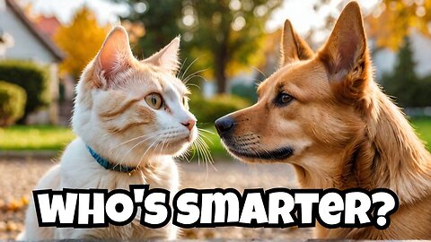 Cats vs. Dogs, Who's Smarter?