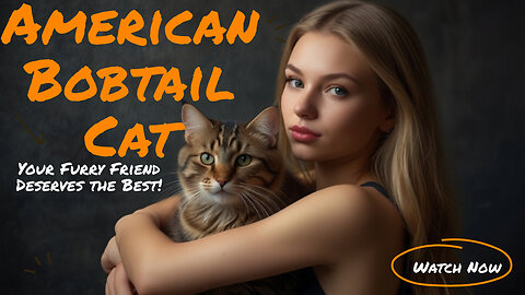 American Bobtail Cat Loving Personality & Care Tips! #catlovers #americanbobtail #petcare #cute 🐈😻