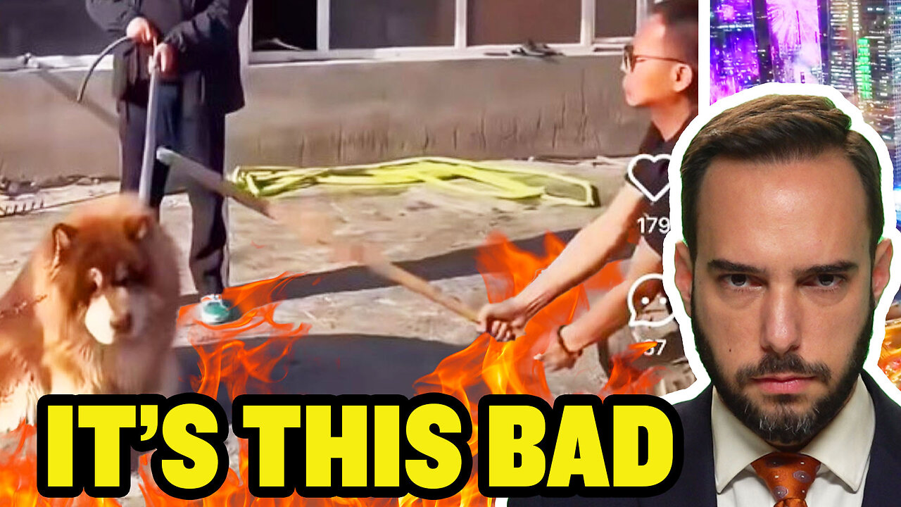 China Murders People's Pets
