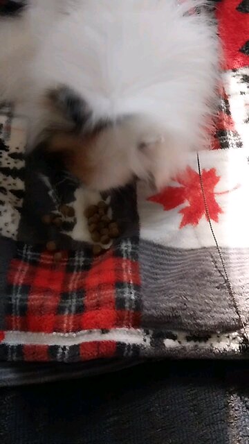 Playing with my food