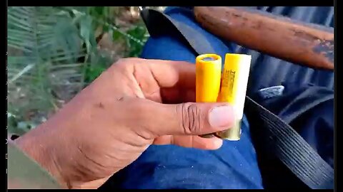 I set up a hammock in the middle of the woods | lots of animals