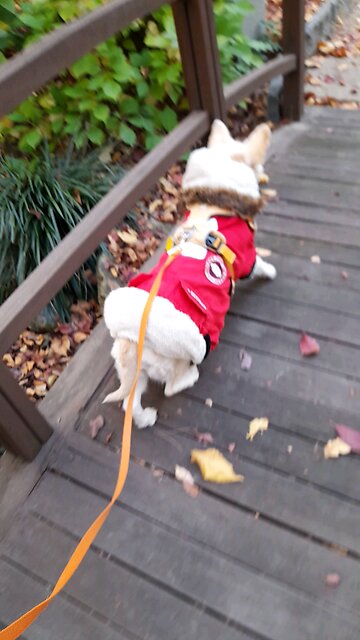 20251121. God made the world.