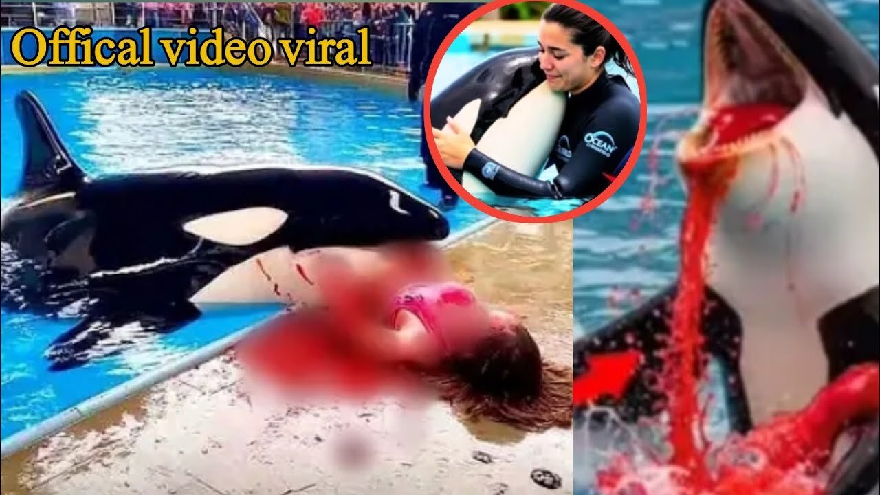 Jessica Radcliffe Orca Attack Explained