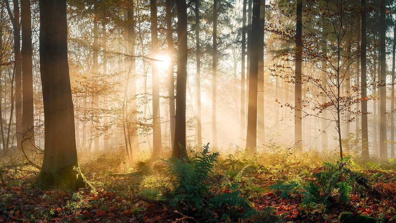 5-11-25 Guided Meditation: Yeshua Seeing The Spirit of God Within You