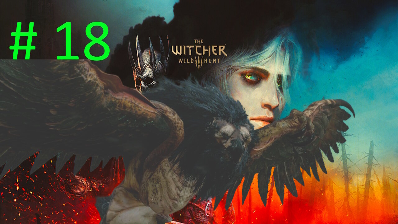 Let's Play Witcher 3 Wild Hunt BLIND # 18 ⭐Beast of White Orchard⭐