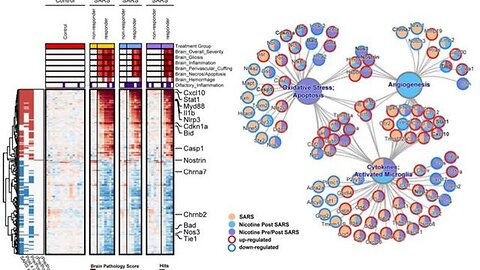 "Unlocking Nicotine's Potential: A Solution to Invasive Nanotechnology?"