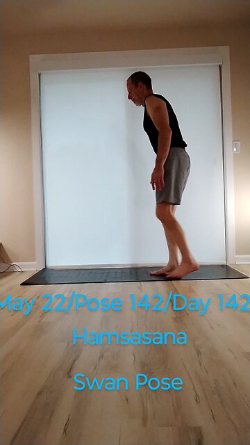 Hamsasana. / Swan Pose