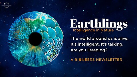 Earthlings: The Shocking Truth About Our Relationship With Animals | Documentary Analysis