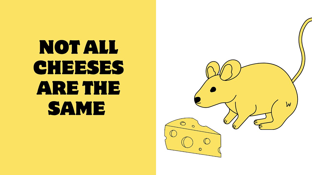 cheese types and c15 fats