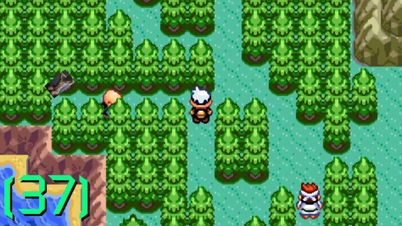 Pokémon Ruby - Walkthrough/Videonávod - 37 - [EN/CZ]