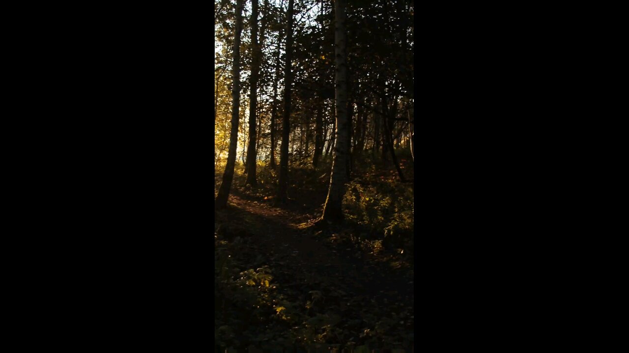 Daily Verse December 1st 2025