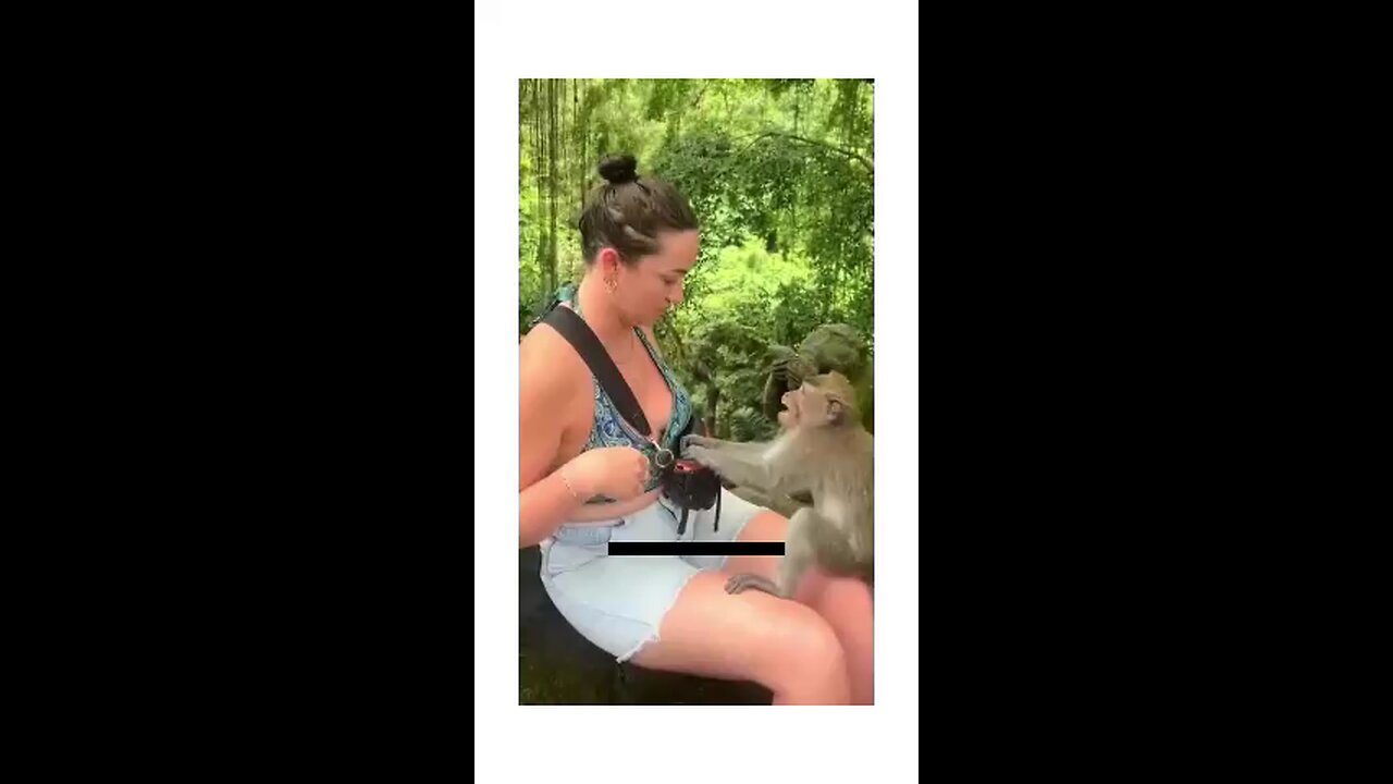 You Won’t Believe What These Monkeys Did! 😳🐒