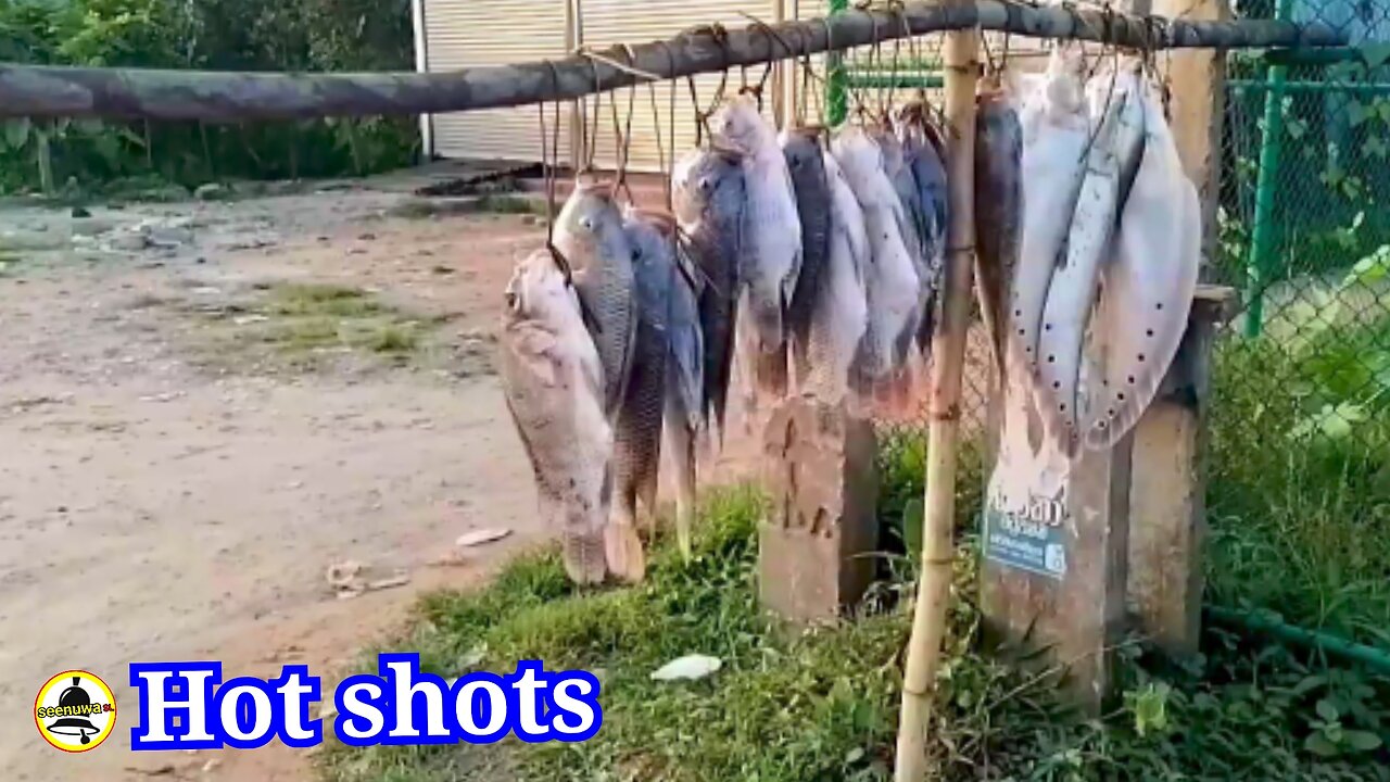 River fish trade in Sri Lanka