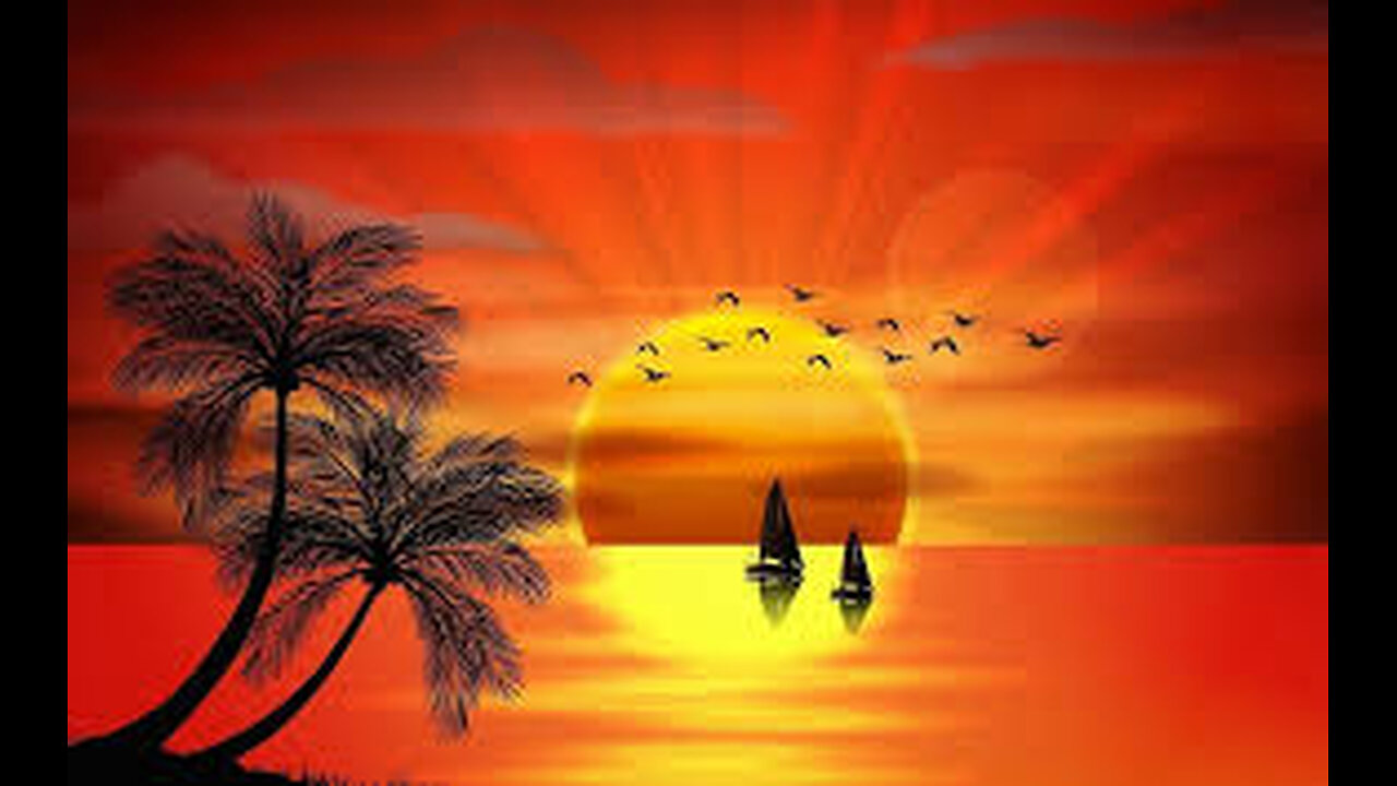 When the zipper on the bag was opened 😜 😂 😂