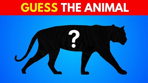 Guess The Animal by Shadow In 5 Seconds l Quiz | 60 Animals