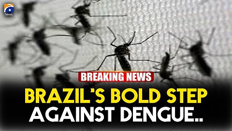 Brazil to protect 140 million from dengue with mosquito super factory | Geo News English
