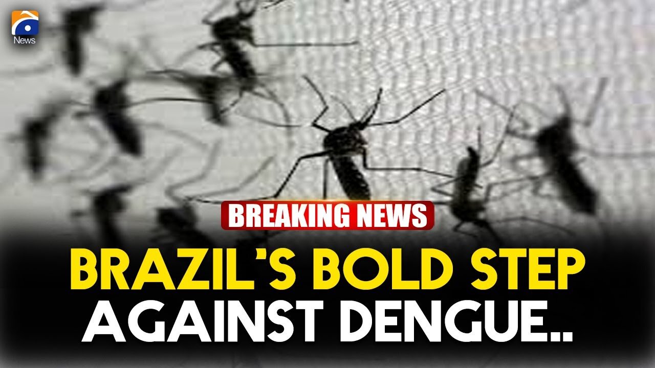 Brazil to protect 140 million from dengue with mosquito super factory | Geo News English