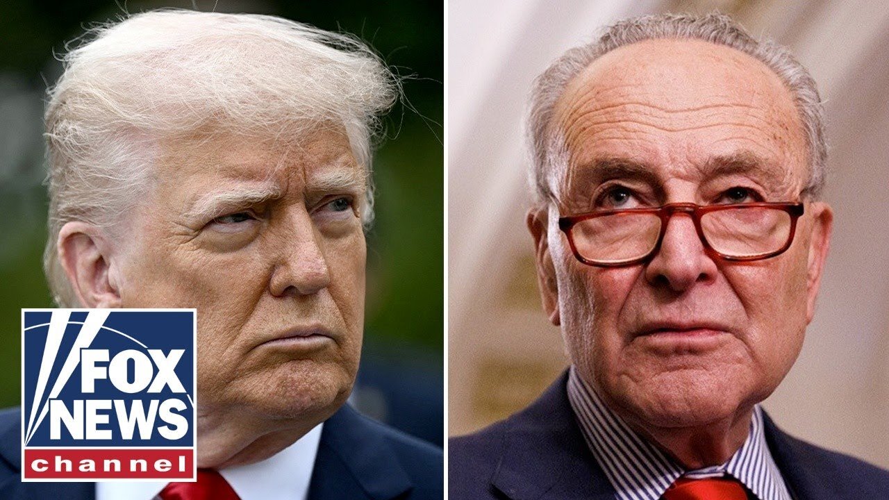 Trump sends scathing message to Schumer as nominees stalled: 'GO TO HELL!'