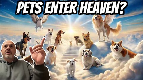 Do Animals Have Souls To Enter Heaven According To The Bible? | Sam Shamoun