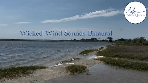 Ada Alien Queen • Earth Heart Beats • Take #00024 • Wicked Wind Sounds Binaural