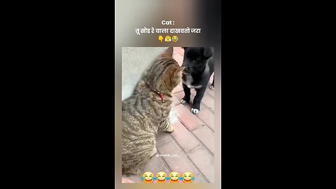 तू सोड याला दाखवतो