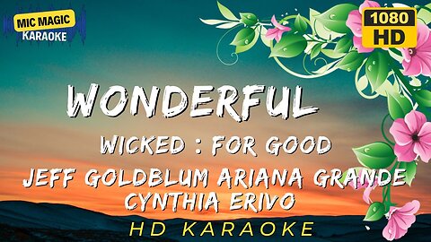 WONDERFUL - JEFF GOLDBLUM ARIANA GRANDE CYNTHIA ERIVO - WICKED FOR GOOD - KARAOKE