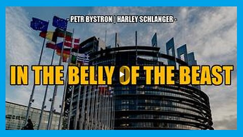 #%IN THE BELLY OF THE BEAST -- Petr Bystron & Harley Schlanger%#