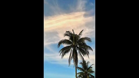 Bangladesh Nice video