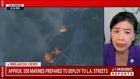 California Dem On LA Riots: "This Is A Manufactured Crisis"