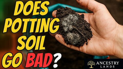 Does Potting Soil Expire? The Shocking Truth Every Gardener Should Know! 🌱