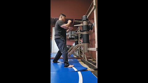 WTD Wooden Dummy Combination 6