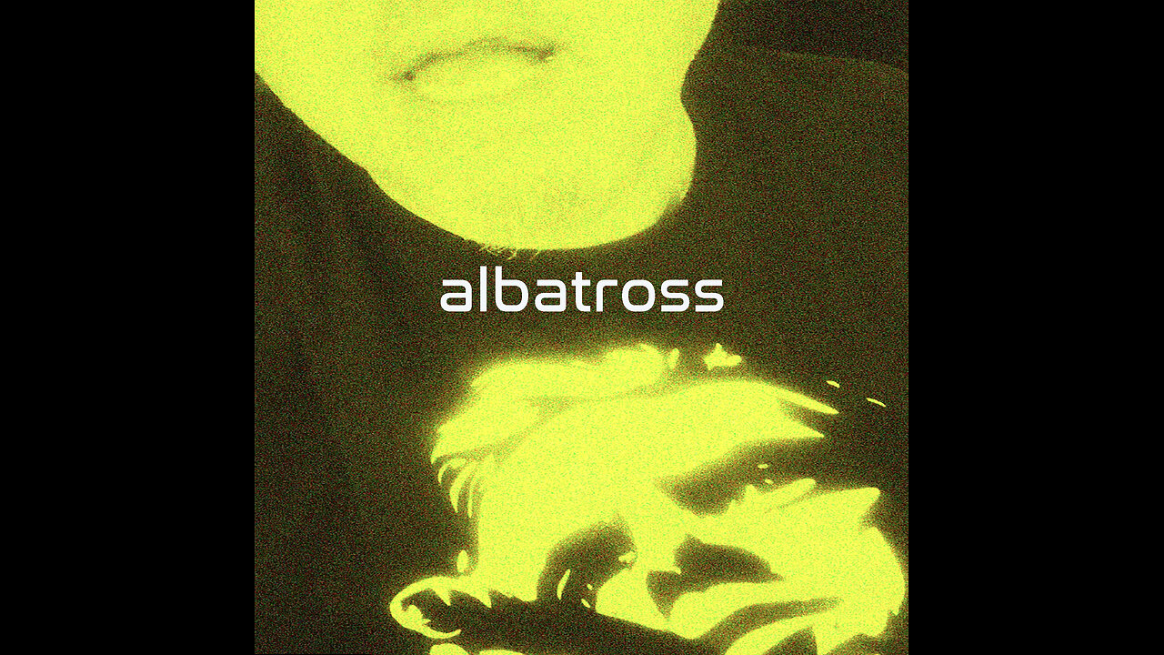 ALBATROSS