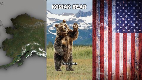 Kodiak Bear