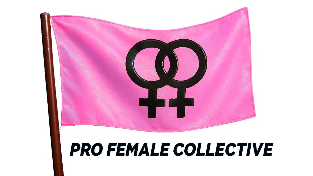 The Copy Cat Hate Group Pro Female Collective!