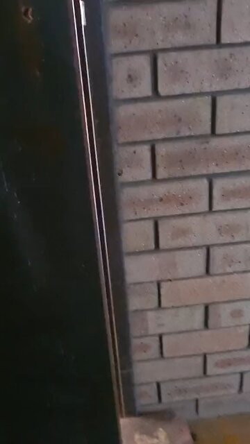 Kangaroo tales in Australia