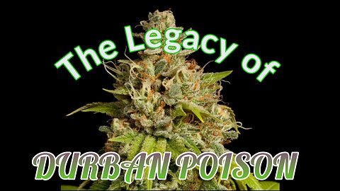 The Legacy of Durban Poison