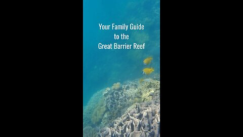 Family Fun at the Great Barrier Reef! 🌊🐠