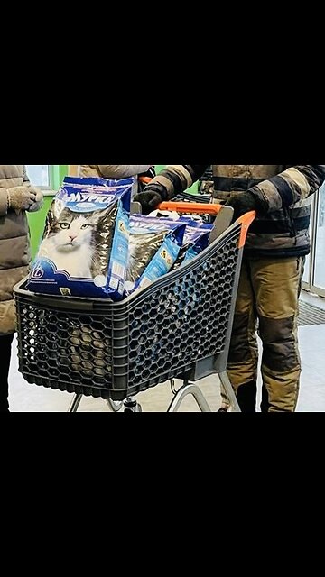 🇺🇦 Ukrainians are buying a lot of cat litter